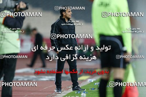 807170, Tehran, [*parameter:4*], لیگ برتر فوتبال ایران، Persian Gulf Cup، Week 1، Second Leg، Esteghlal 0 v 0 Gostaresh Foulad Tabriz on 2013/11/29 at Azadi Stadium