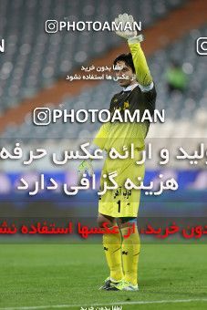 807220, Tehran, [*parameter:4*], لیگ برتر فوتبال ایران، Persian Gulf Cup، Week 1، Second Leg، Esteghlal 0 v 0 Gostaresh Foulad Tabriz on 2013/11/29 at Azadi Stadium