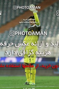807260, Tehran, [*parameter:4*], لیگ برتر فوتبال ایران، Persian Gulf Cup، Week 1، Second Leg، Esteghlal 0 v 0 Gostaresh Foulad Tabriz on 2013/11/29 at Azadi Stadium