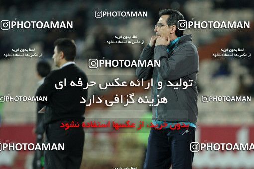 807341, Tehran, [*parameter:4*], لیگ برتر فوتبال ایران، Persian Gulf Cup، Week 1، Second Leg، Esteghlal 0 v 0 Gostaresh Foulad Tabriz on 2013/11/29 at Azadi Stadium