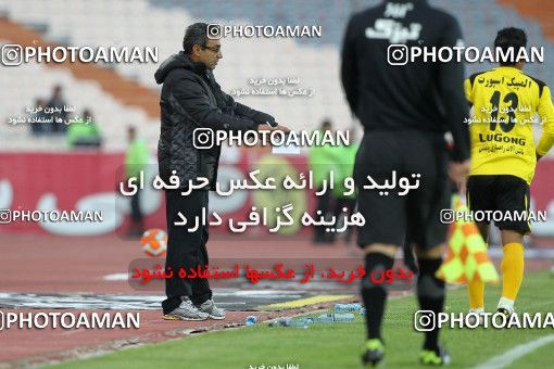 652955, Tehran, [*parameter:4*], لیگ برتر فوتبال ایران، Persian Gulf Cup، Week 18، Second Leg، Esteghlal 1 v 0 Fajr-e Sepasi Shiraz on 2013/12/14 at Azadi Stadium