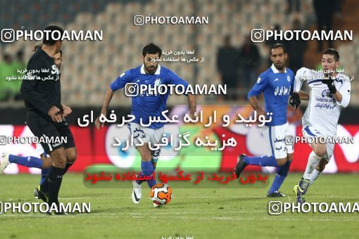 655105, Tehran, [*parameter:4*], لیگ برتر فوتبال ایران، Persian Gulf Cup، Week 20، Second Leg، Esteghlal 1 v 0 Damash Gilan on 2013/12/24 at Azadi Stadium