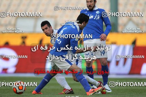 655538, Tehran, [*parameter:4*], لیگ برتر فوتبال ایران، Persian Gulf Cup، Week 20، Second Leg، Esteghlal 1 v 0 Damash Gilan on 2013/12/24 at Azadi Stadium