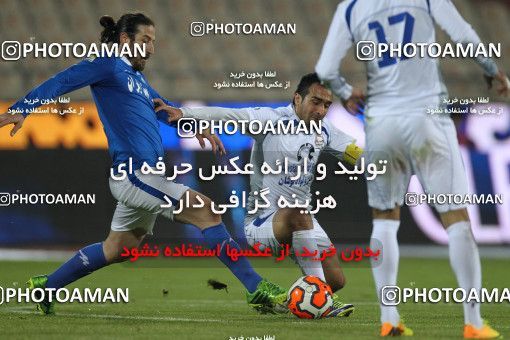 655556, Tehran, [*parameter:4*], لیگ برتر فوتبال ایران، Persian Gulf Cup، Week 20، Second Leg، Esteghlal 1 v 0 Damash Gilan on 2013/12/24 at Azadi Stadium