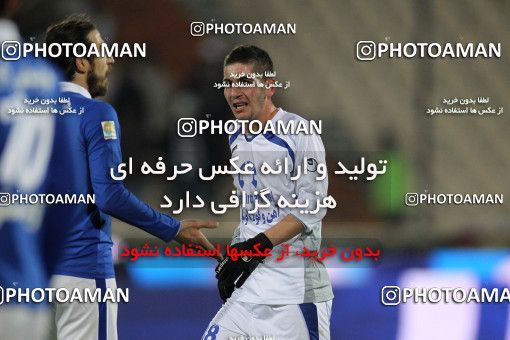 655597, Tehran, [*parameter:4*], لیگ برتر فوتبال ایران، Persian Gulf Cup، Week 20، Second Leg، Esteghlal 1 v 0 Damash Gilan on 2013/12/24 at Azadi Stadium