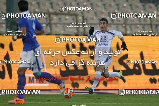 655606, Tehran, [*parameter:4*], لیگ برتر فوتبال ایران، Persian Gulf Cup، Week 20، Second Leg، Esteghlal 1 v 0 Damash Gilan on 2013/12/24 at Azadi Stadium
