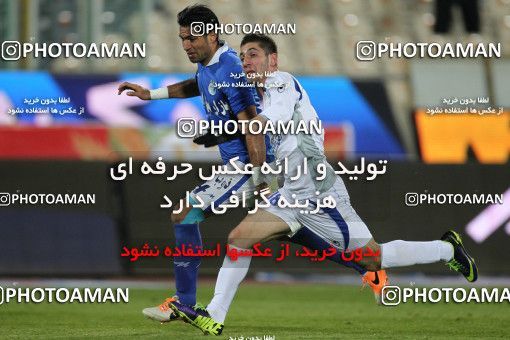 655449, Tehran, [*parameter:4*], لیگ برتر فوتبال ایران، Persian Gulf Cup، Week 20، Second Leg، Esteghlal 1 v 0 Damash Gilan on 2013/12/24 at Azadi Stadium