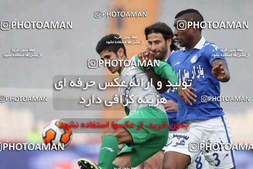 659104, Tehran, [*parameter:4*], لیگ برتر فوتبال ایران، Persian Gulf Cup، Week 24، Second Leg، Esteghlal 1 v 1 Zob Ahan Esfahan on 2014/01/26 at Azadi Stadium