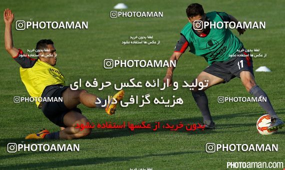 224324, جلسه تمرینی تیم ملی فوتبال ایران، 1394/03/01، ، تهران، ورزشگاه شهید دستگردی