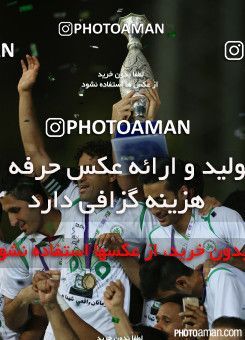 226016, Tehran, , Final جام حذفی فوتبال ایران, , Naft Tehran 1 v 2 Zob Ahan Esfahan on 2015/06/01 at Takhti Stadium