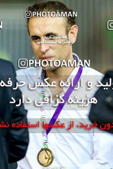 225875, Tehran, , Final جام حذفی فوتبال ایران, , Naft Tehran 1 v 2 Zob Ahan Esfahan on 2015/06/01 at Takhti Stadium