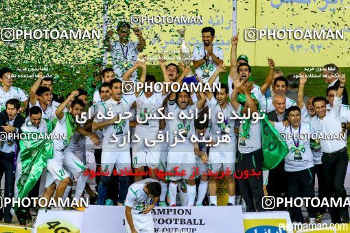 225843, Tehran, , Final جام حذفی فوتبال ایران, , Naft Tehran 1 v 2 Zob Ahan Esfahan on 2015/06/01 at Takhti Stadium