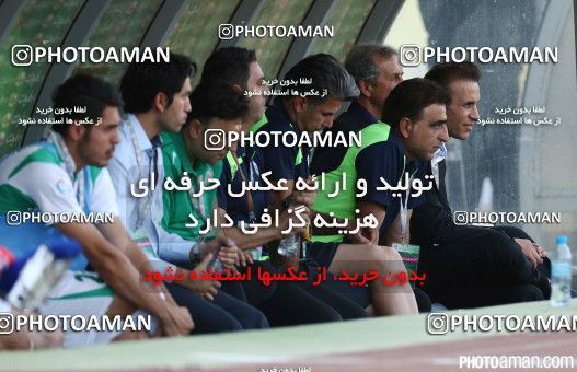 226429, Tehran, , Final جام حذفی فوتبال ایران, , Naft Tehran 1 v 2 Zob Ahan Esfahan on 2015/06/01 at Takhti Stadium