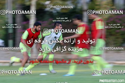 244226, جلسه تمرینی تیم ملی فوتبال ایران، 1394/06/05، ، تهران، ورزشگاه آزادی