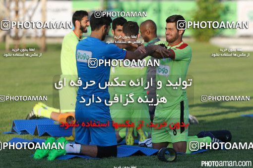 244255, جلسه تمرینی تیم ملی فوتبال ایران، 1394/06/05، ، تهران، ورزشگاه آزادی