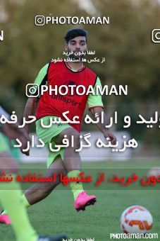 244238, جلسه تمرینی تیم ملی فوتبال ایران، 1394/06/05، ، تهران، ورزشگاه آزادی