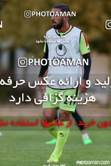 244239, جلسه تمرینی تیم ملی فوتبال ایران، 1394/06/05، ، تهران، ورزشگاه آزادی