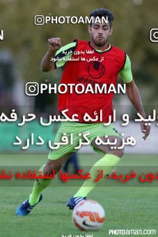 244245, جلسه تمرینی تیم ملی فوتبال ایران، 1394/06/05، ، تهران، ورزشگاه آزادی