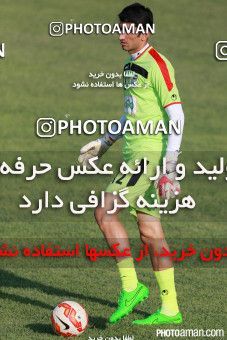 244289, جلسه تمرینی تیم ملی فوتبال ایران، 1394/06/11، ، تهران، ورزشگاه آزادی