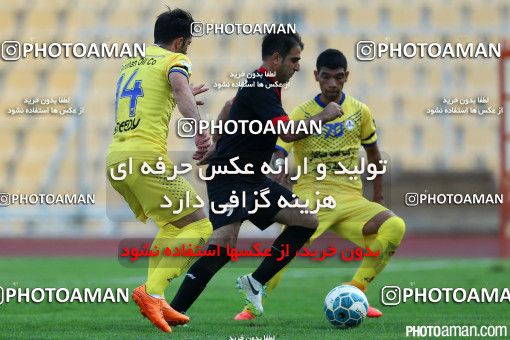 262985, Tehran, , جام حذفی فوتبال ایران, 1/16 stage, Khorramshahr Cup, Naft Tehran 5 v 1 Diana Bagher Shahr on 2015/10/09 at Takhti Stadium