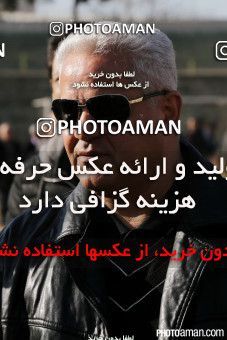 315519, مراسم تشییع زنده یاد همایون بهزادی، تهران، 1394/11/05، ورزشگاه شهید شیرودی (امجدیه سابق)