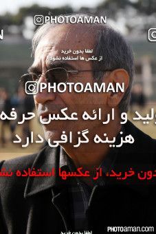 315520, مراسم تشییع زنده یاد همایون بهزادی، تهران، 1394/11/05، ورزشگاه شهید شیرودی (امجدیه سابق)