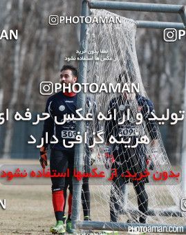 316556, جلسه تمرینی تیم فوتبال پرسپولیس، 1394/11/09، ، تهران، زمین شماره 2 ورزشگاه آزادی