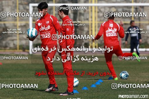346573, جلسه تمرینی تیم فوتبال پرسپولیس، 1394/12/07، ، تهران، ورزشگاه شهید درفشی فر