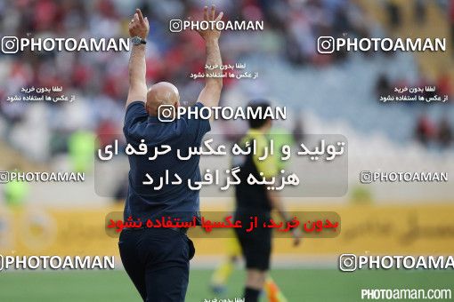 373485, Tehran, [*parameter:4*], لیگ برتر فوتبال ایران، Persian Gulf Cup، Week 28، Second Leg، Persepolis 0 v 2 Naft Tehran on 2016/04/28 at Azadi Stadium