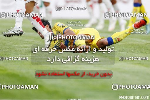 372244, Tehran, [*parameter:4*], لیگ برتر فوتبال ایران، Persian Gulf Cup، Week 25، Second Leg، Naft Tehran 2 v 1 Padideh Mashhad on 2016/04/09 at Takhti Stadium