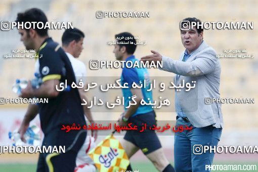 372355, لیگ برتر فوتبال ایران، Persian Gulf Cup، Week 25، Second Leg، 2016/04/09، Tehran، Takhti Stadium، Naft Tehran 2 - ۱ Padideh Mashhad