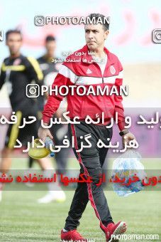 372603, Tehran, [*parameter:4*], لیگ برتر فوتبال ایران، Persian Gulf Cup، Week 25، Second Leg، Naft Tehran 2 v 1 Padideh Mashhad on 2016/04/09 at Takhti Stadium