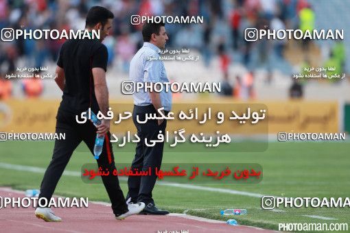 376628, Tehran, [*parameter:4*], لیگ برتر فوتبال ایران، Persian Gulf Cup، Week 29، Second Leg، Esteghlal 2 v 3 Tractor Sazi on 2016/05/08 at Azadi Stadium