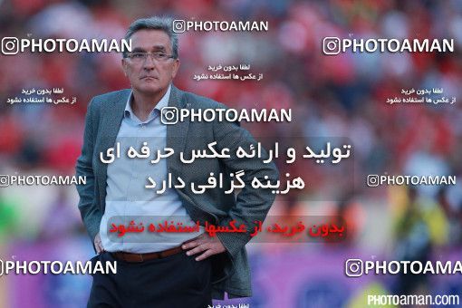 379842, Tehran, Iran, لیگ برتر فوتبال ایران، Persian Gulf Cup، Week 30، Second Leg، Persepolis 2 v 1 Rah Ahan on 2016/05/13 at Azadi Stadium