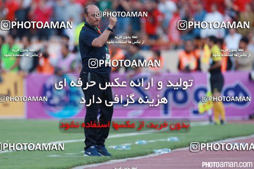 379775, Tehran, Iran, لیگ برتر فوتبال ایران، Persian Gulf Cup، Week 30، Second Leg، Persepolis 2 v 1 Rah Ahan on 2016/05/13 at Azadi Stadium