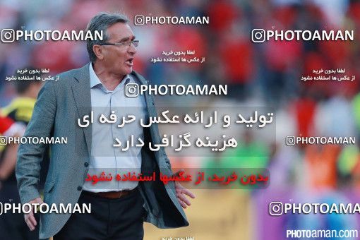 379861, Tehran, Iran, لیگ برتر فوتبال ایران، Persian Gulf Cup، Week 30، Second Leg، Persepolis 2 v 1 Rah Ahan on 2016/05/13 at Azadi Stadium