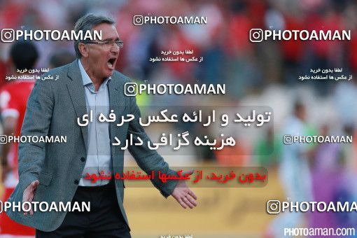 379858, Tehran, Iran, لیگ برتر فوتبال ایران، Persian Gulf Cup، Week 30، Second Leg، Persepolis 2 v 1 Rah Ahan on 2016/05/13 at Azadi Stadium