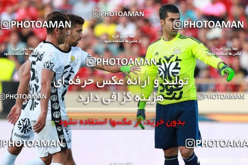 378894, Tehran, Iran, لیگ برتر فوتبال ایران، Persian Gulf Cup، Week 30، Second Leg، Persepolis 2 v 1 Rah Ahan on 2016/05/13 at Azadi Stadium