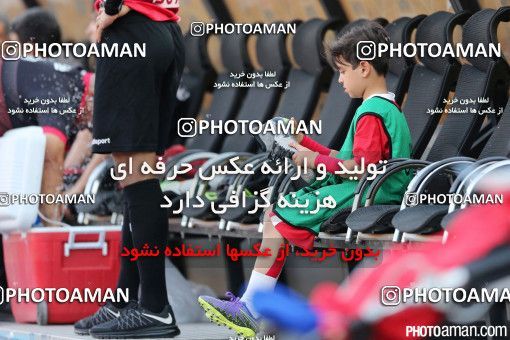 381520, Tehran, Iran, لیگ برتر فوتبال ایران، Persian Gulf Cup، Week 30، Second Leg، Persepolis 2 v 1 Rah Ahan on 2016/05/13 at Azadi Stadium