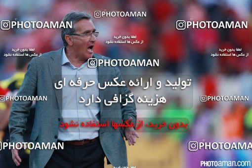 379862, Tehran, Iran, لیگ برتر فوتبال ایران، Persian Gulf Cup، Week 30، Second Leg، Persepolis 2 v 1 Rah Ahan on 2016/05/13 at Azadi Stadium