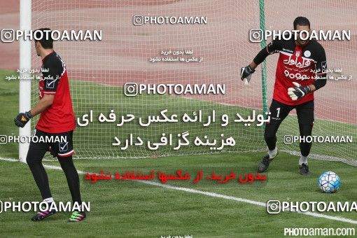 396778, Tehran, , Iran Football Team Training Session on 2016/06/06 at Azadi Stadium