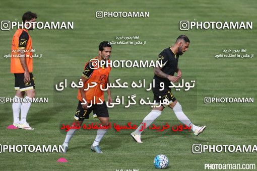 396777, Tehran, , Iran Football Team Training Session on 2016/06/06 at Azadi Stadium