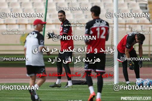 396965, Tehran, , Iran Football Team Training Session on 2016/06/06 at Azadi Stadium