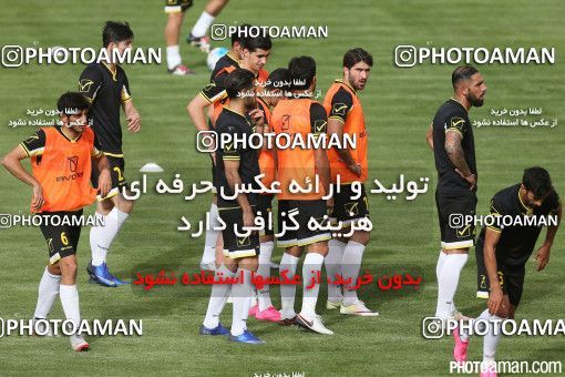 396793, Tehran, , Iran Football Team Training Session on 2016/06/06 at Azadi Stadium