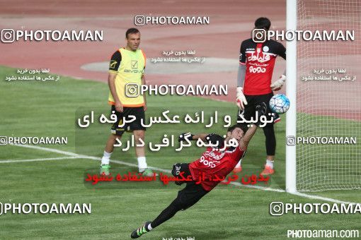 396785, Tehran, , Iran Football Team Training Session on 2016/06/06 at Azadi Stadium