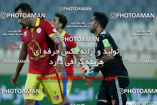 398872, Tehran, [*parameter:4*], لیگ برتر فوتبال ایران، Persian Gulf Cup، Week 1، First Leg، Esteghlal 1 v 1 Naft Tehran on 2016/07/25 at Azadi Stadium