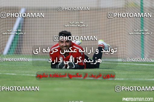 397605, Tehran, [*parameter:4*], لیگ برتر فوتبال ایران، Persian Gulf Cup، Week 1، First Leg، Esteghlal 1 v 1 Naft Tehran on 2016/07/25 at Azadi Stadium