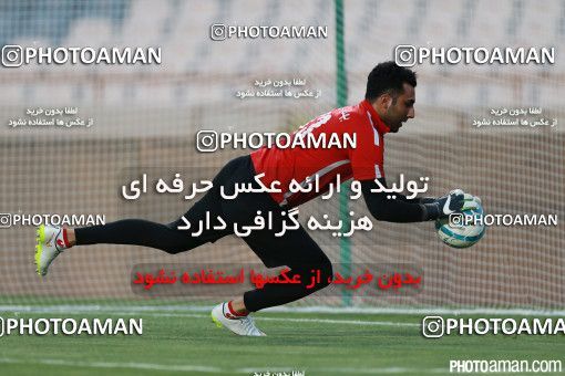 397597, Tehran, [*parameter:4*], لیگ برتر فوتبال ایران، Persian Gulf Cup، Week 1، First Leg، Esteghlal 1 v 1 Naft Tehran on 2016/07/25 at Azadi Stadium