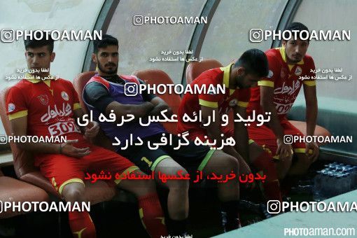 402797, Tehran, [*parameter:4*], لیگ برتر فوتبال ایران، Persian Gulf Cup، Week 3، First Leg، Naft Tehran 3 v 0 Padideh Mashhad on 2016/08/06 at Takhti Stadium