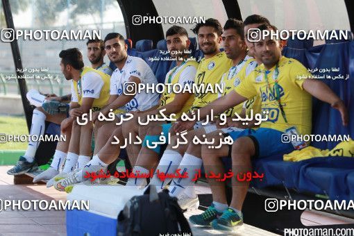 405384, Tehran,Shahr Qods, [*parameter:4*], لیگ برتر فوتبال ایران، Persian Gulf Cup، Week 4، First Leg، Paykan 1 v 1 Esteghlal on 2016/08/11 at Shahr-e Qods Stadium